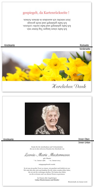 Frühling, Frühlingsblumen, Frühlingsblüten. Trauer Danksagung Karten bei Sterbefall, Todesfall, Beerdigung und Trauerfall