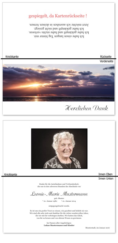 Frühling, Frühlingsblumen, Frühlingsblüten. Trauer Danksagung Karten bei Sterbefall, Todesfall, Beerdigung und Trauerfall