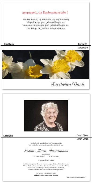 Frühling, Frühlingsblumen, Frühlingsblüten. Trauer Danksagung Karten bei Sterbefall, Todesfall, Beerdigung und Trauerfall