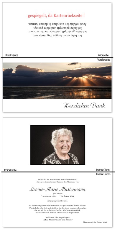 Frühling, Frühlingsblumen, Frühlingsblüten. Trauer Danksagung Karten bei Sterbefall, Todesfall, Beerdigung und Trauerfall