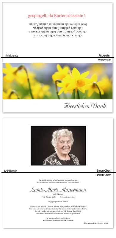 Frühling, Frühlingsblumen, Frühlingsblüten. Trauer Danksagung Karten bei Sterbefall, Todesfall, Beerdigung und Trauerfall