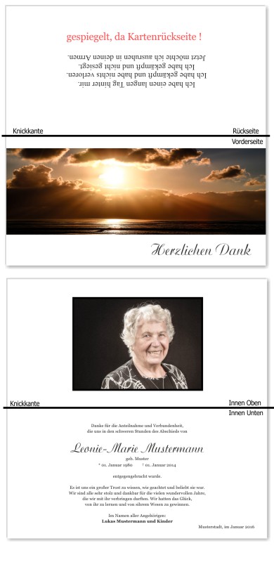 Frühling, Frühlingsblumen, Frühlingsblüten. Trauer Danksagung Karten bei Sterbefall, Todesfall, Beerdigung und Trauerfall