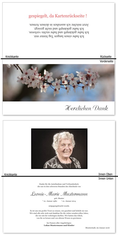 Frühling, Frühlingsblumen, Frühlingsblüten. Trauer Danksagung Karten bei Sterbefall, Todesfall, Beerdigung und Trauerfall
