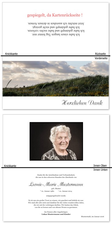 Frühling, Frühlingsblumen, Frühlingsblüten. Trauer Danksagung Karten bei Sterbefall, Todesfall, Beerdigung und Trauerfall