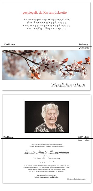 Frühling, Frühlingsblumen, Frühlingsblüten. Trauer Danksagung Karten bei Sterbefall, Todesfall, Beerdigung und Trauerfall