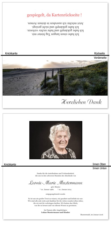 Frühling, Frühlingsblumen, Frühlingsblüten. Trauer Danksagung Karten bei Sterbefall, Todesfall, Beerdigung und Trauerfall