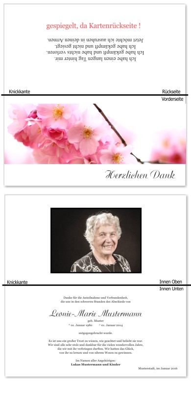 Frühling, Frühlingsblumen, Frühlingsblüten. Trauer Danksagung Karten bei Sterbefall, Todesfall, Beerdigung und Trauerfall