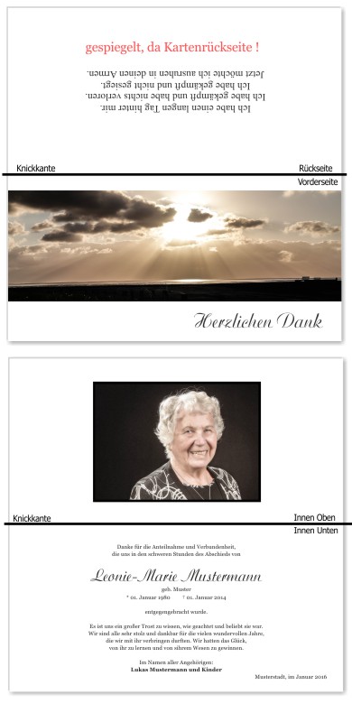Frühling, Frühlingsblumen, Frühlingsblüten. Trauer Danksagung Karten bei Sterbefall, Todesfall, Beerdigung und Trauerfall