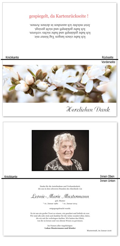 Frühling, Frühlingsblumen, Frühlingsblüten. Trauer Danksagung Karten bei Sterbefall, Todesfall, Beerdigung und Trauerfall