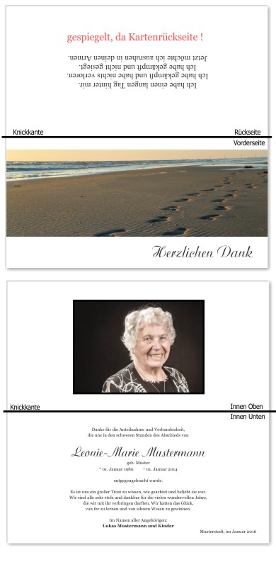 Frühling, Frühlingsblumen, Frühlingsblüten. Trauer Danksagung Karten bei Sterbefall, Todesfall, Beerdigung und Trauerfall
