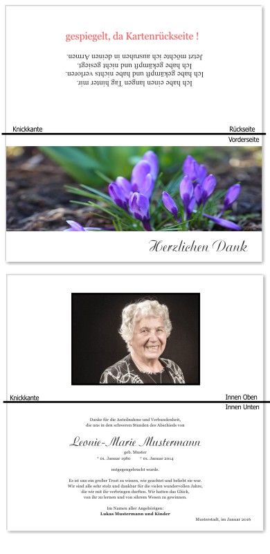 Frühling, Frühlingsblumen, Frühlingsblüten. Trauer Danksagung Karten bei Sterbefall, Todesfall, Beerdigung und Trauerfall