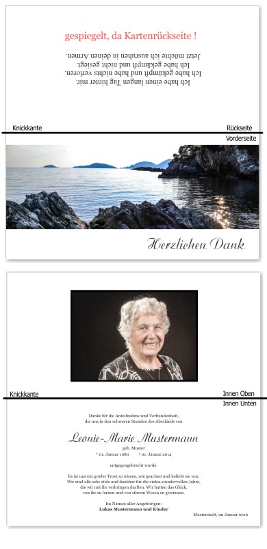 Frühling, Frühlingsblumen, Frühlingsblüten. Trauer Danksagung Karten bei Sterbefall, Todesfall, Beerdigung und Trauerfall