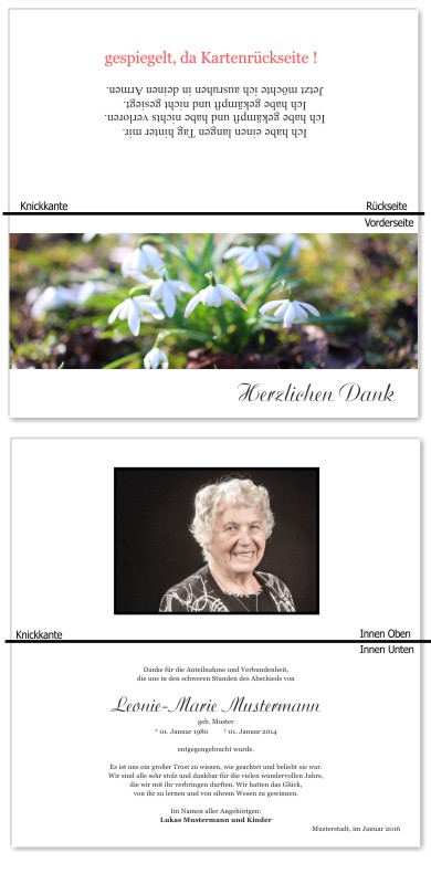 Frühling, Frühlingsblumen, Frühlingsblüten. Trauer Danksagung Karten bei Sterbefall, Todesfall, Beerdigung und Trauerfall