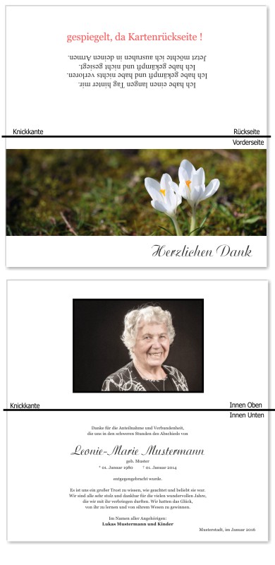 Frühling, Frühlingsblumen, Frühlingsblüten. Trauer Danksagung Karten bei Sterbefall, Todesfall, Beerdigung und Trauerfall
