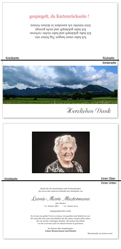 Frühling, Frühlingsblumen, Frühlingsblüten. Trauer Danksagung Karten bei Sterbefall, Todesfall, Beerdigung und Trauerfall