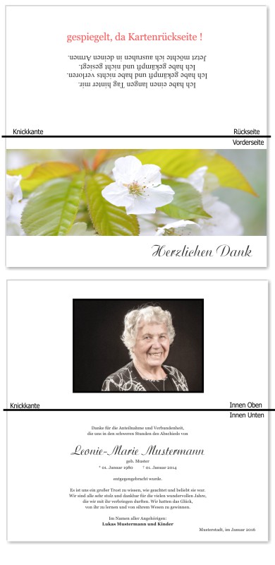 Frühling, Frühlingsblumen, Frühlingsblüten. Trauer Danksagung Karten bei Sterbefall, Todesfall, Beerdigung und Trauerfall