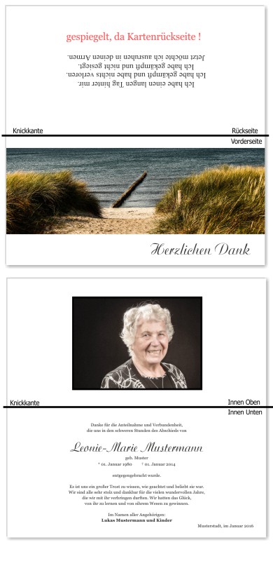 Frühling, Frühlingsblumen, Frühlingsblüten. Trauer Danksagung Karten bei Sterbefall, Todesfall, Beerdigung und Trauerfall