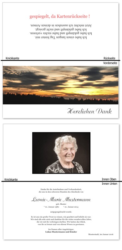 Frühling, Frühlingsblumen, Frühlingsblüten. Trauer Danksagung Karten bei Sterbefall, Todesfall, Beerdigung und Trauerfall