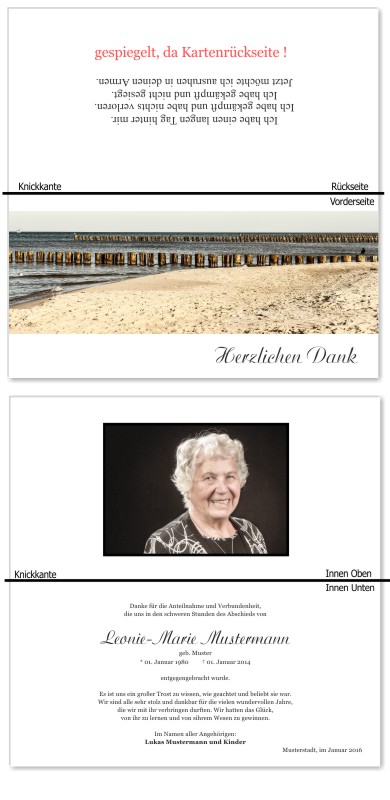 Frühling, Frühlingsblumen, Frühlingsblüten. Trauer Danksagung Karten bei Sterbefall, Todesfall, Beerdigung und Trauerfall