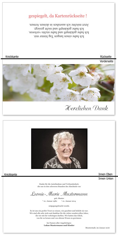 Frühling, Frühlingsblumen, Frühlingsblüten. Trauer Danksagung Karten bei Sterbefall, Todesfall, Beerdigung und Trauerfall