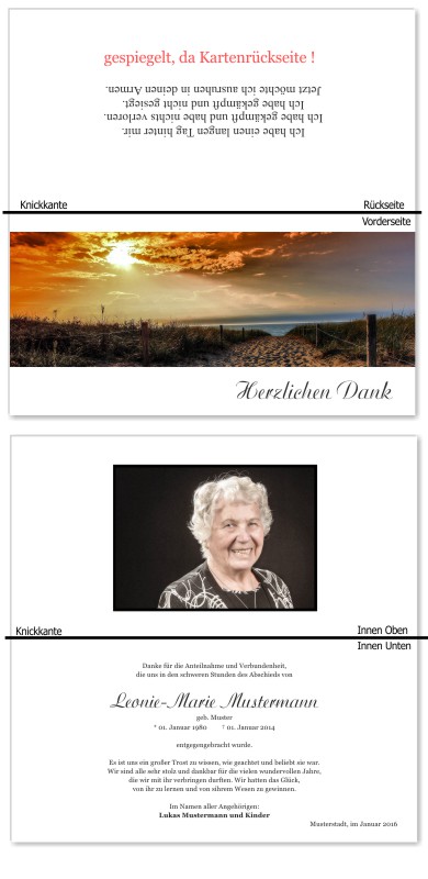 Frühling, Frühlingsblumen, Frühlingsblüten. Trauer Danksagung Karten bei Sterbefall, Todesfall, Beerdigung und Trauerfall