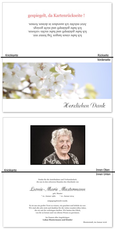 Frühling, Frühlingsblumen, Frühlingsblüten. Trauer Danksagung Karten bei Sterbefall, Todesfall, Beerdigung und Trauerfall