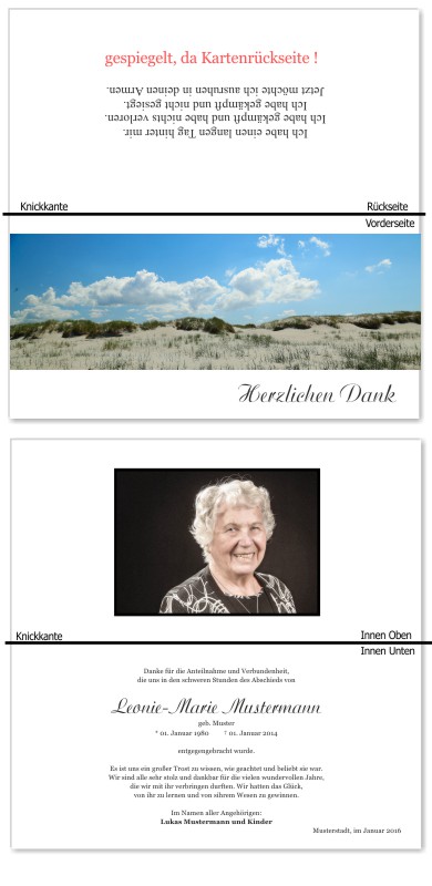 Frühling, Frühlingsblumen, Frühlingsblüten. Trauer Danksagung Karten bei Sterbefall, Todesfall, Beerdigung und Trauerfall