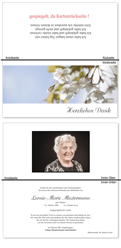Frühling, Frühlingsblumen, Frühlingsblüten. Trauer Danksagung Karten bei Sterbefall, Todesfall, Beerdigung und Trauerfall