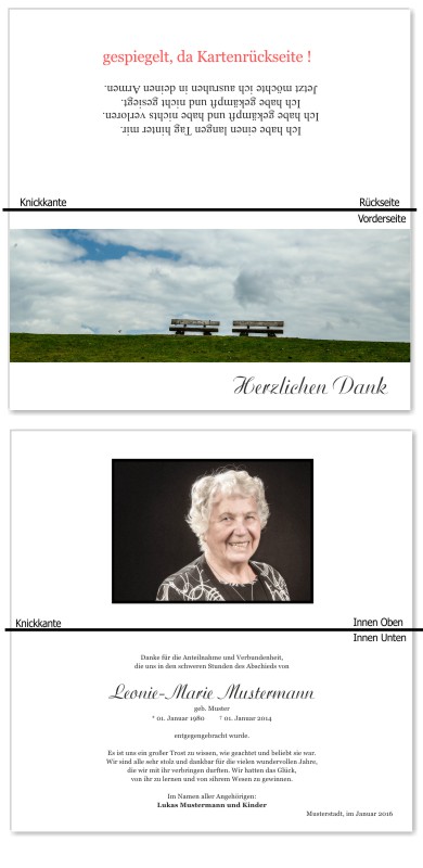 Frühling, Frühlingsblumen, Frühlingsblüten. Trauer Danksagung Karten bei Sterbefall, Todesfall, Beerdigung und Trauerfall
