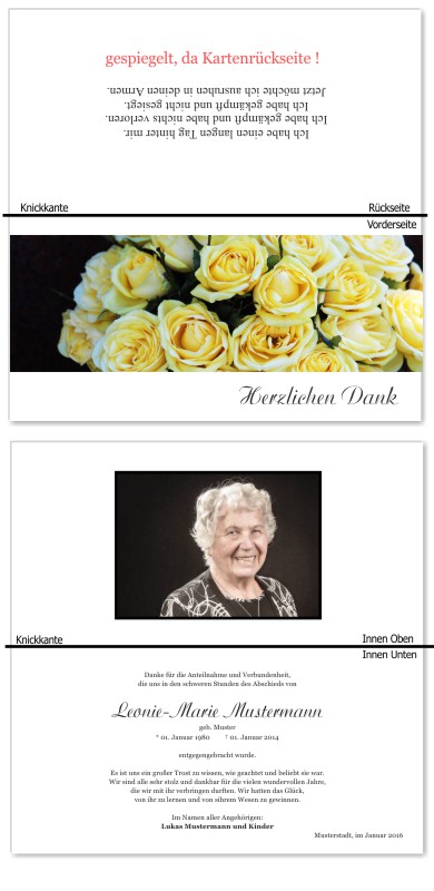 Rosa Rosen, Trauerrosen, Trauerblumen, Trauerblüten. Trauer Danksagung Karten bei Sterbefall, Todesfall, Beerdigung und Trauerfall