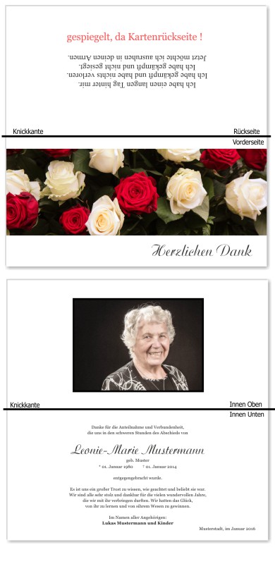 Rosa Rosen, Trauerrosen, Trauerblumen, Trauerblüten. Trauer Danksagung Karten bei Sterbefall, Todesfall, Beerdigung und Trauerfall