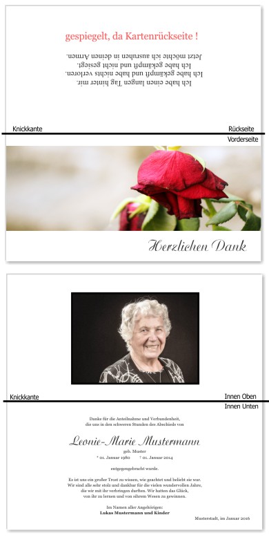 Rosa Rosen, Trauerrosen, Trauerblumen, Trauerblüten. Trauer Danksagung Karten bei Sterbefall, Todesfall, Beerdigung und Trauerfall