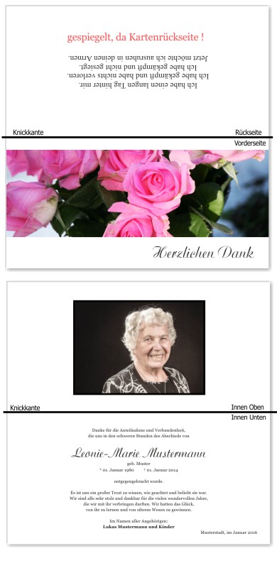 Rosa Rosen, Trauerrosen, Trauerblumen, Trauerblüten. Trauer Danksagung Karten bei Sterbefall, Todesfall, Beerdigung und Trauerfall