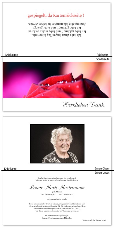 Rosa Rosen, Trauerrosen, Trauerblumen, Trauerblüten. Trauer Danksagung Karten bei Sterbefall, Todesfall, Beerdigung und Trauerfall