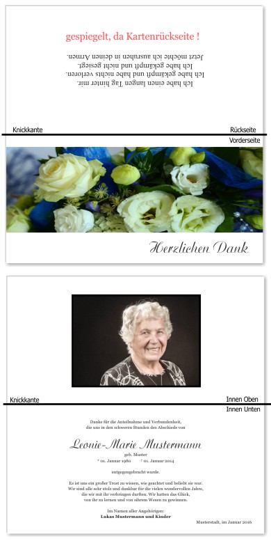 Rosa Rosen, Trauerrosen, Trauerblumen, Trauerblüten. Trauer Danksagung Karten bei Sterbefall, Todesfall, Beerdigung und Trauerfall