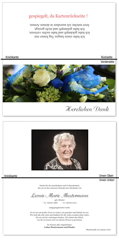 Rosa Rosen, Trauerrosen, Trauerblumen, Trauerblüten. Trauer Danksagung Karten bei Sterbefall, Todesfall, Beerdigung und Trauerfall