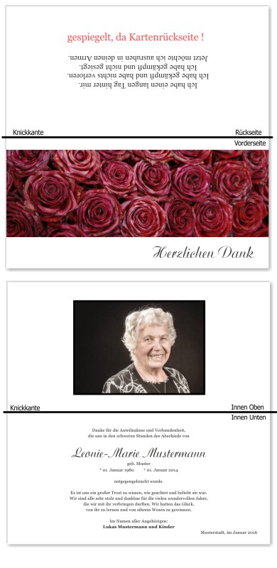 Rosa Rosen, Trauerrosen, Trauerblumen, Trauerblüten. Trauer Danksagung Karten bei Sterbefall, Todesfall, Beerdigung und Trauerfall