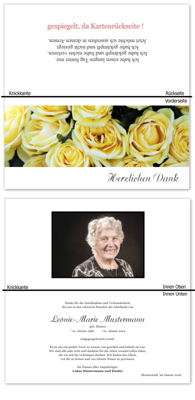 Rosa Rosen, Trauerrosen, Trauerblumen, Trauerblüten. Trauer Danksagung Karten bei Sterbefall, Todesfall, Beerdigung und Trauerfall