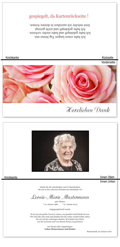Rosa Rosen, Trauerrosen, Trauerblumen, Trauerblüten. Trauer Danksagung Karten bei Sterbefall, Todesfall, Beerdigung und Trauerfall