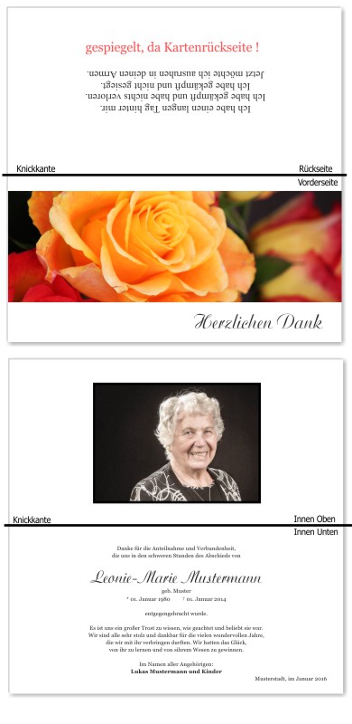 Rosa Rosen, Trauerrosen, Trauerblumen, Trauerblüten. Trauer Danksagung Karten bei Sterbefall, Todesfall, Beerdigung und Trauerfall