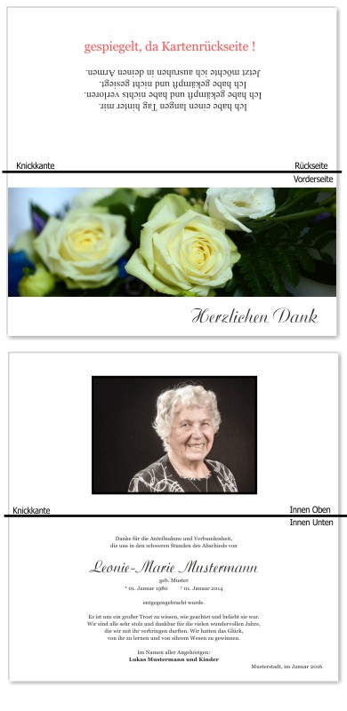 Rosa Rosen, Trauerrosen, Trauerblumen, Trauerblüten. Trauer Danksagung Karten bei Sterbefall, Todesfall, Beerdigung und Trauerfall
