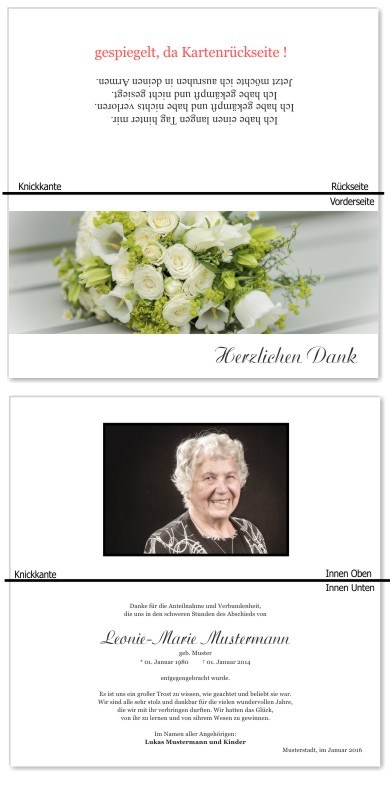 Rosa Rosen, Trauerrosen, Trauerblumen, Trauerblüten. Trauer Danksagung Karten bei Sterbefall, Todesfall, Beerdigung und Trauerfall