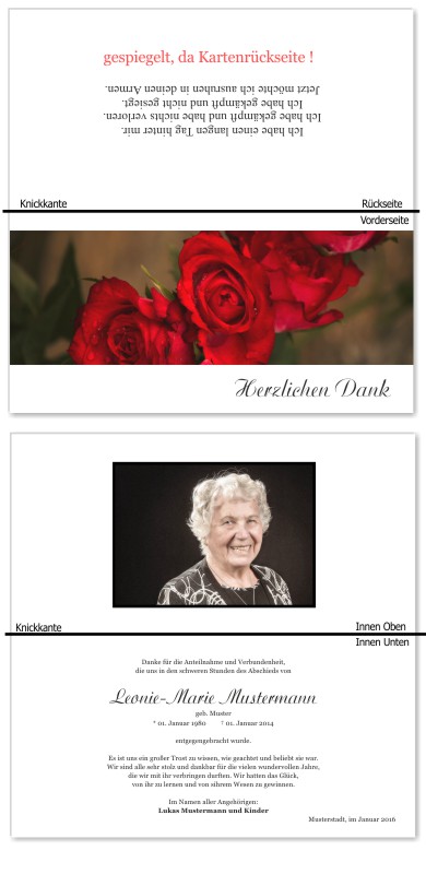 Rosa Rosen, Trauerrosen, Trauerblumen, Trauerblüten. Trauer Danksagung Karten bei Sterbefall, Todesfall, Beerdigung und Trauerfall