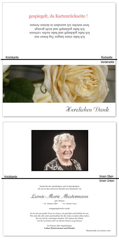 Rosa Rosen, Trauerrosen, Trauerblumen, Trauerblüten. Trauer Danksagung Karten bei Sterbefall, Todesfall, Beerdigung und Trauerfall