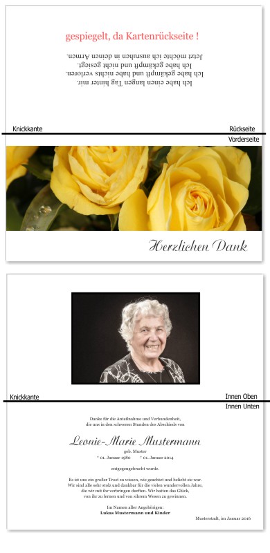 Rosa Rosen, Trauerrosen, Trauerblumen, Trauerblüten. Trauer Danksagung Karten bei Sterbefall, Todesfall, Beerdigung und Trauerfall