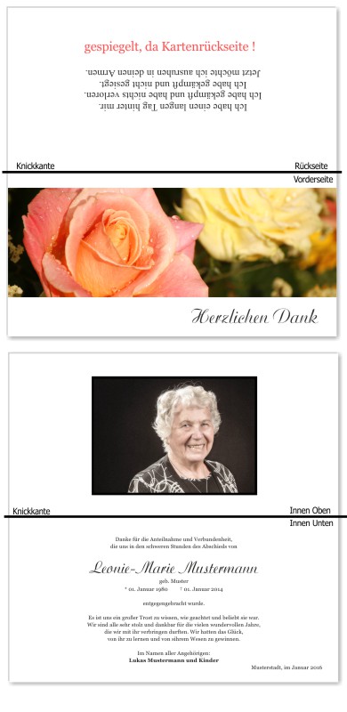 Rosa Rosen, Trauerrosen, Trauerblumen, Trauerblüten. Trauer Danksagung Karten bei Sterbefall, Todesfall, Beerdigung und Trauerfall