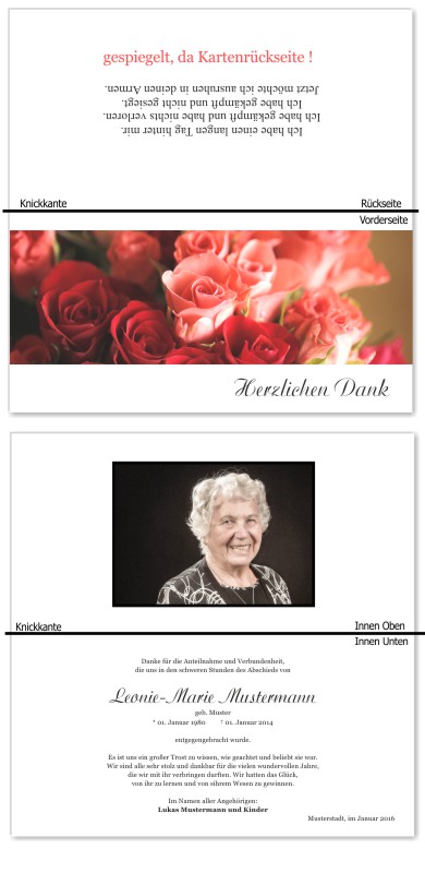 Rosa Rosen, Trauerrosen, Trauerblumen, Trauerblüten. Trauer Danksagung Karten bei Sterbefall, Todesfall, Beerdigung und Trauerfall