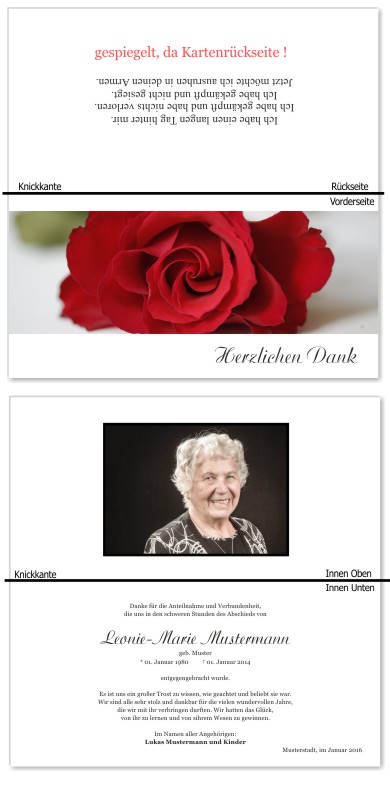 Rosa Rosen, Trauerrosen, Trauerblumen, Trauerblüten. Trauer Danksagung Karten bei Sterbefall, Todesfall, Beerdigung und Trauerfall