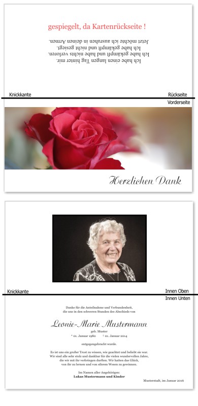 Rosa Rosen, Trauerrosen, Trauerblumen, Trauerblüten. Trauer Danksagung Karten bei Sterbefall, Todesfall, Beerdigung und Trauerfall