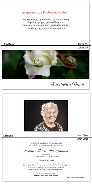 Rosa Rosen, Trauerrosen, Trauerblumen, Trauerblüten. Trauer Danksagung Karten bei Sterbefall, Todesfall, Beerdigung und Trauerfall